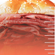 Illustration for article titled iThe Takeout/i Investigates: Whats the ideal level of jus saturation for a beef sandwich?